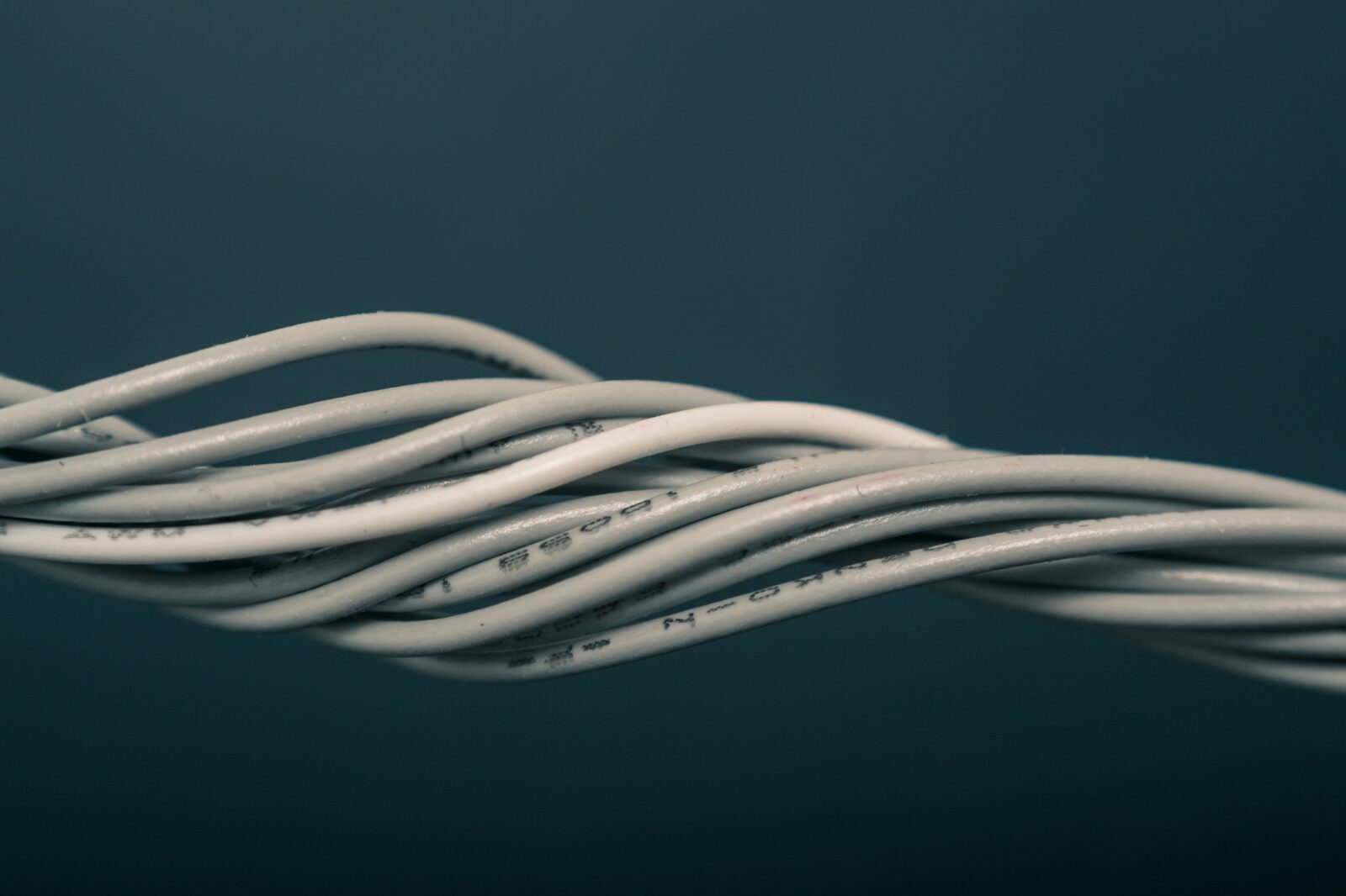 Photo by Steve A Johnson on Unsplash